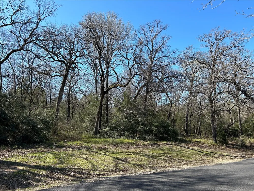 SHENANDOAH DRIVE #Lot 153-R Streetman, TX 75859