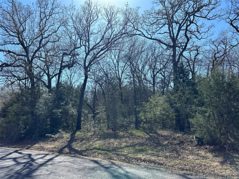 SHENANDOAH DRIVE #Lot 153-R Streetman, TX 75859
