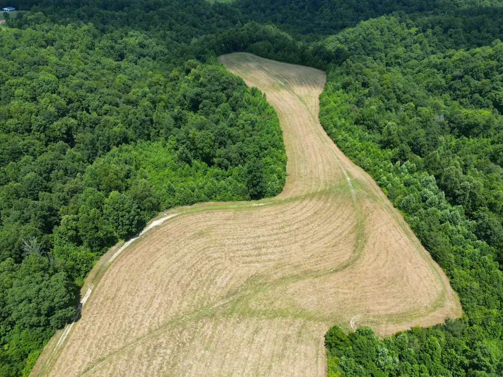 3225 S Grundy Quarles Hwy Gainesboro, TN 38562