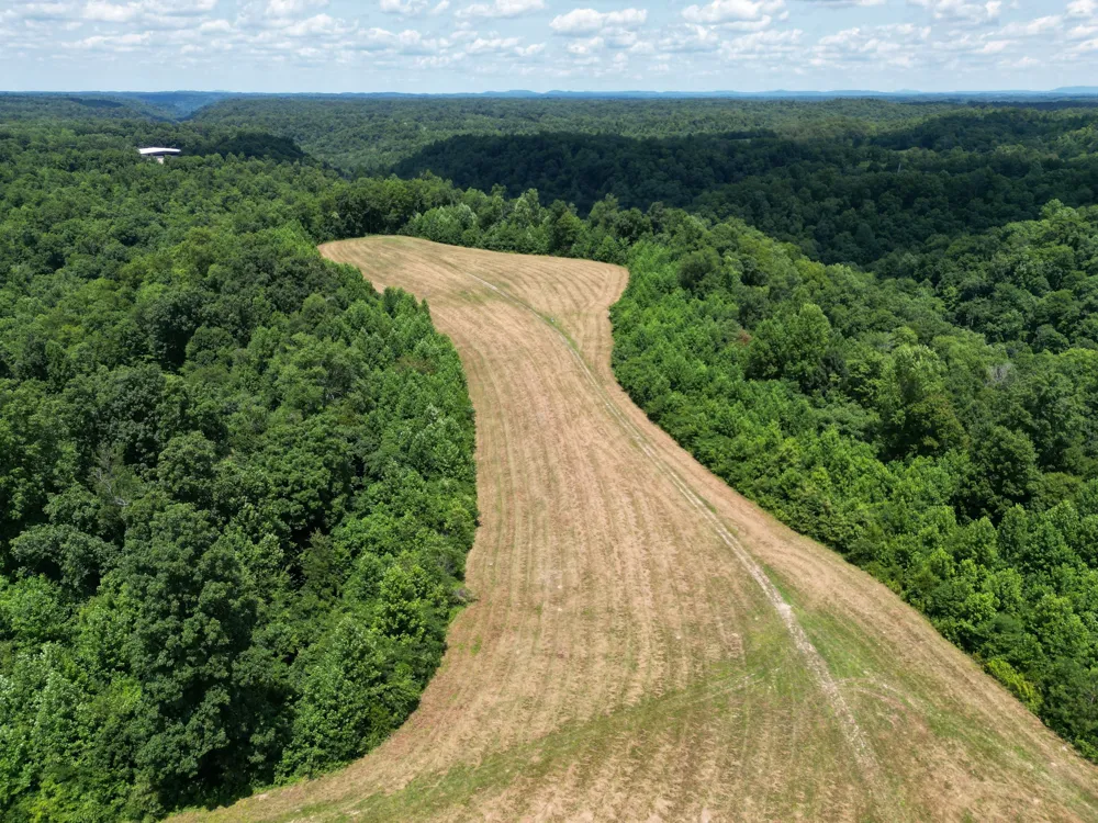 3225 S Grundy Quarles Hwy Gainesboro, TN 38562