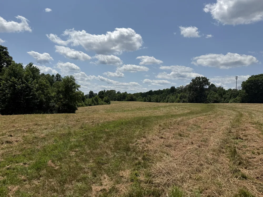 3225 S Grundy Quarles Hwy Gainesboro, TN 38562