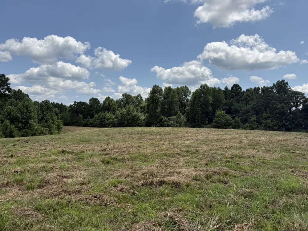 3225 S Grundy Quarles Hwy Gainesboro, TN 38562