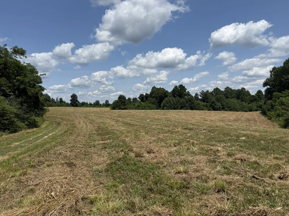 3225 S Grundy Quarles Hwy Gainesboro, TN 38562