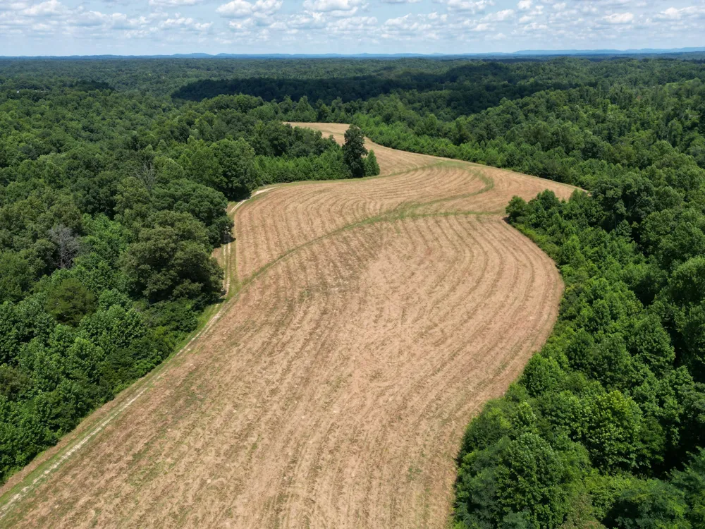 3225 S Grundy Quarles Hwy Gainesboro, TN 38562