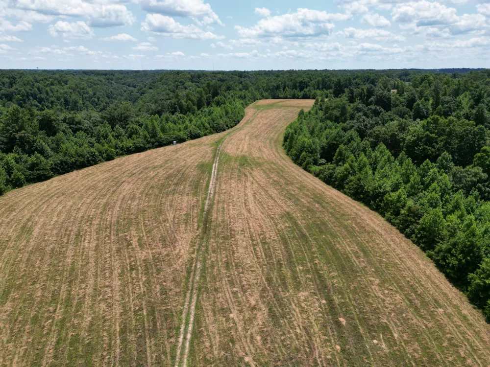 3225 S Grundy Quarles Hwy Gainesboro, TN 38562