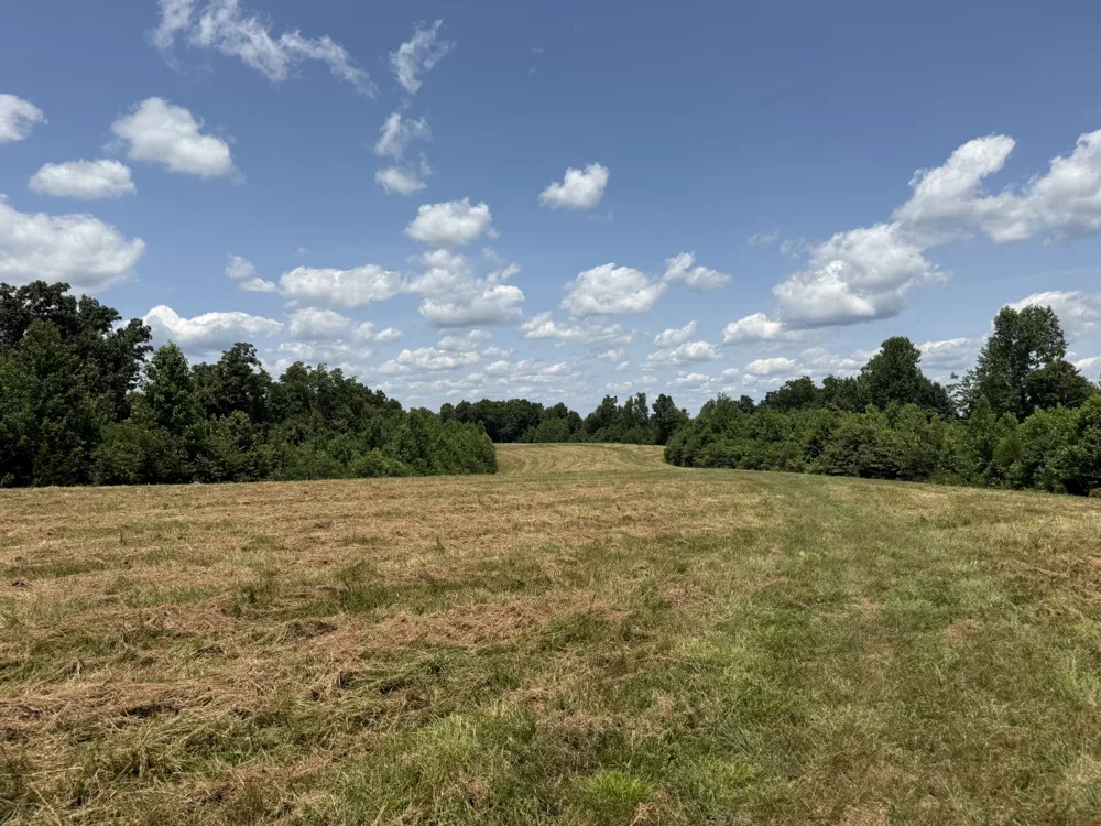 3225 S Grundy Quarles Hwy Gainesboro, TN 38562