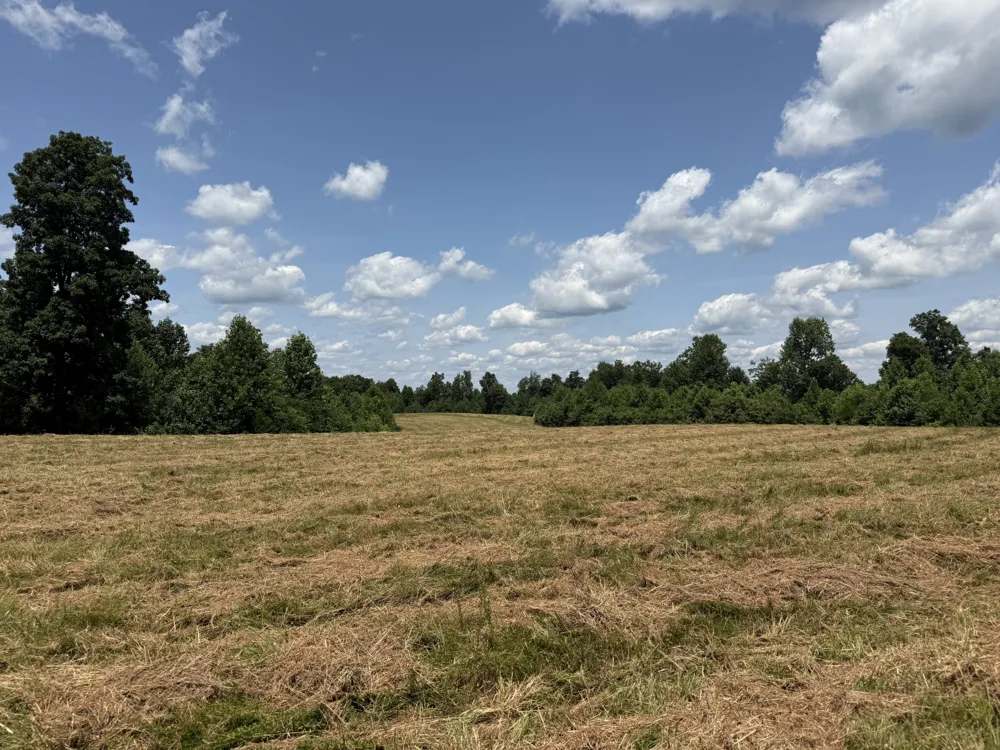 3225 S Grundy Quarles Hwy Gainesboro, TN 38562