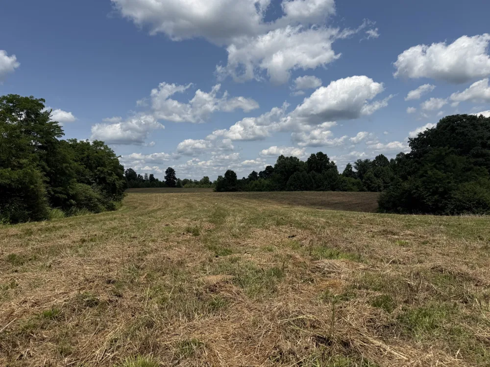 3225 S Grundy Quarles Hwy Gainesboro, TN 38562