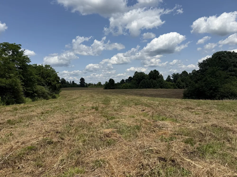 3225 S Grundy Quarles Hwy Gainesboro, TN 38562