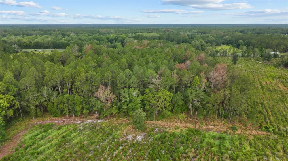 NE US HIGHWAY 301 Hawthorne, FL 32640