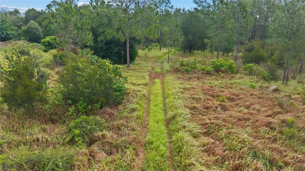 NE US HIGHWAY 301 Hawthorne, FL 32640