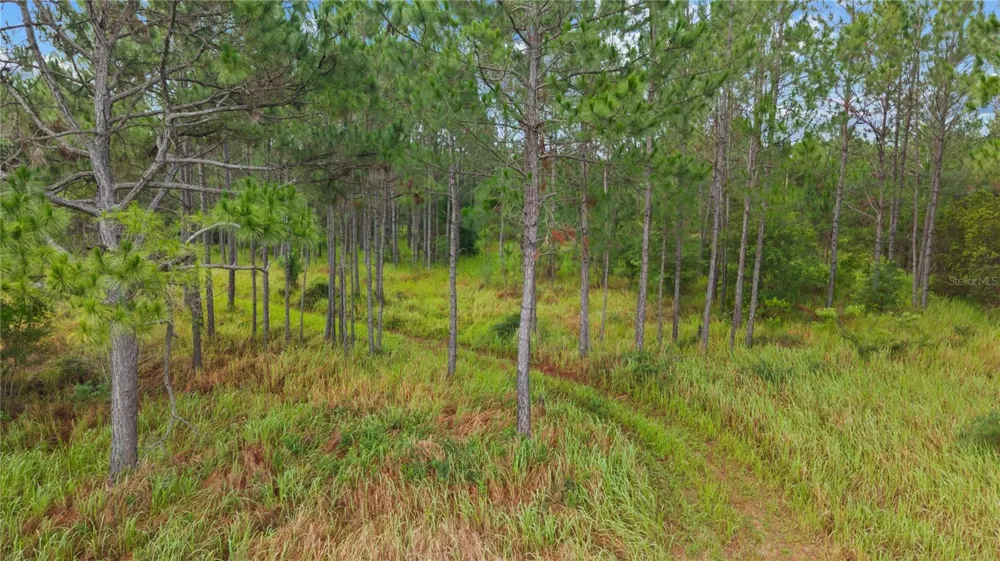NE US HIGHWAY 301 Hawthorne, FL 32640