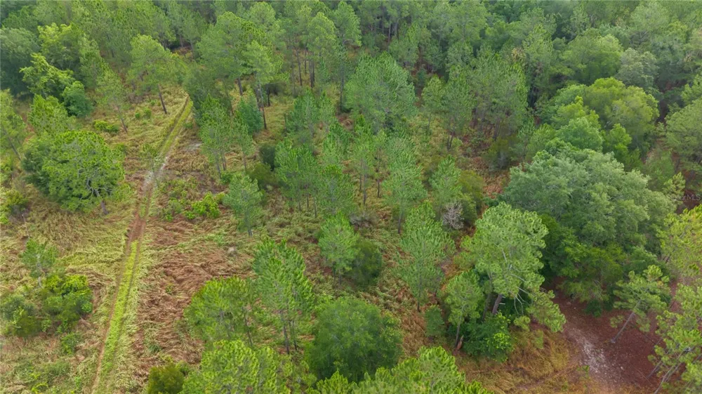 NE US HIGHWAY 301 Hawthorne, FL 32640