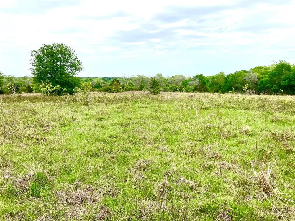 775 S Fm 441 Road Louise, TX 77455
