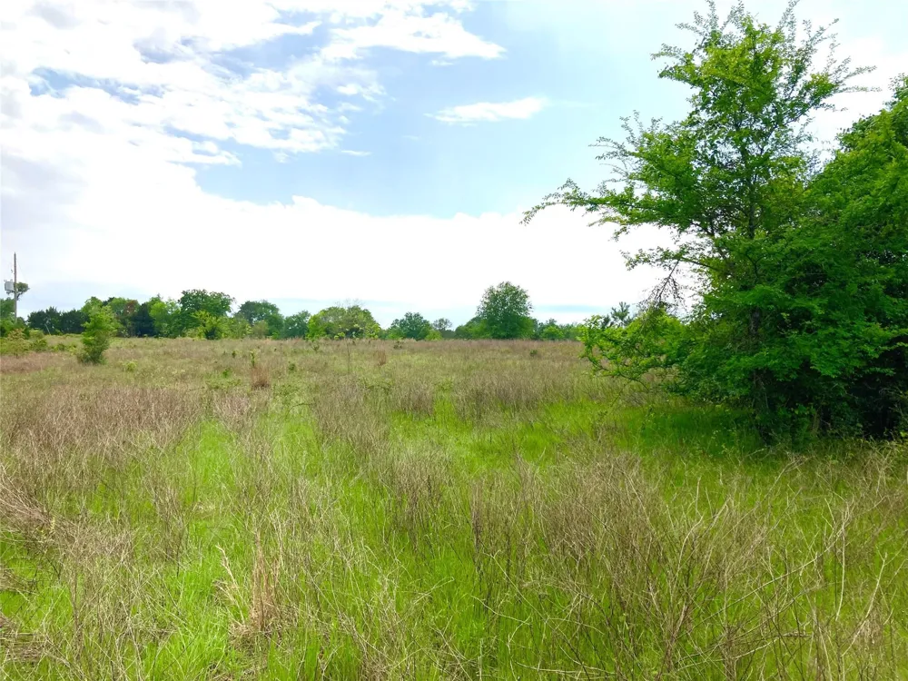 775 S Fm 441 Road Louise, TX 77455
