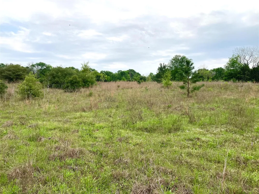 775 S Fm 441 Road Louise, TX 77455