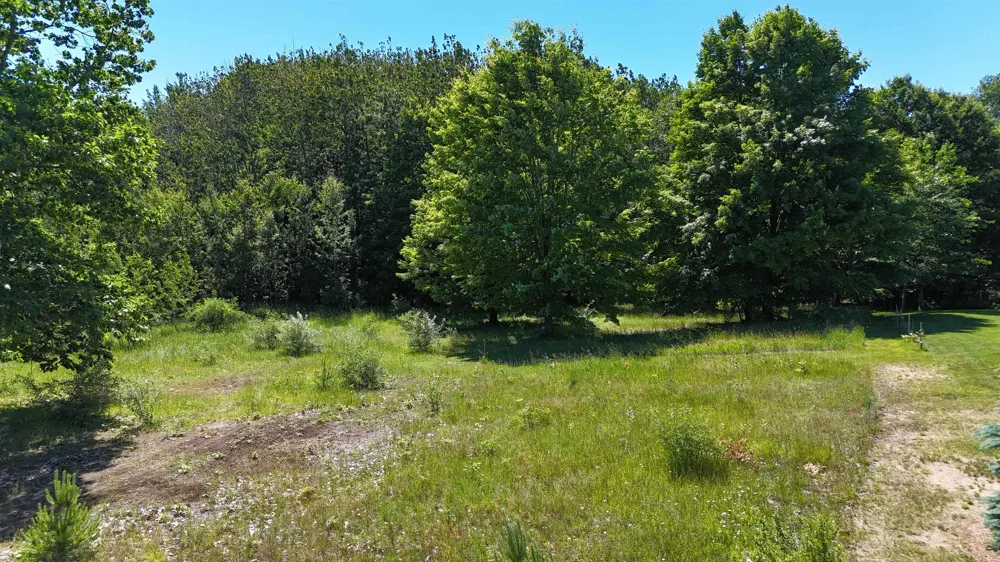14857 Mallard Drive Peninsula Township, MI 49686