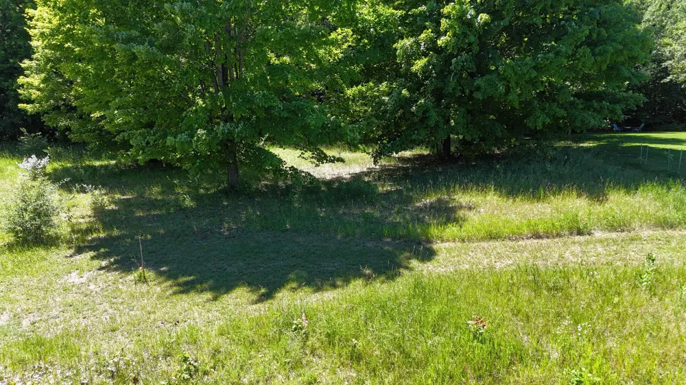 14857 Mallard Drive Peninsula Township, MI 49686