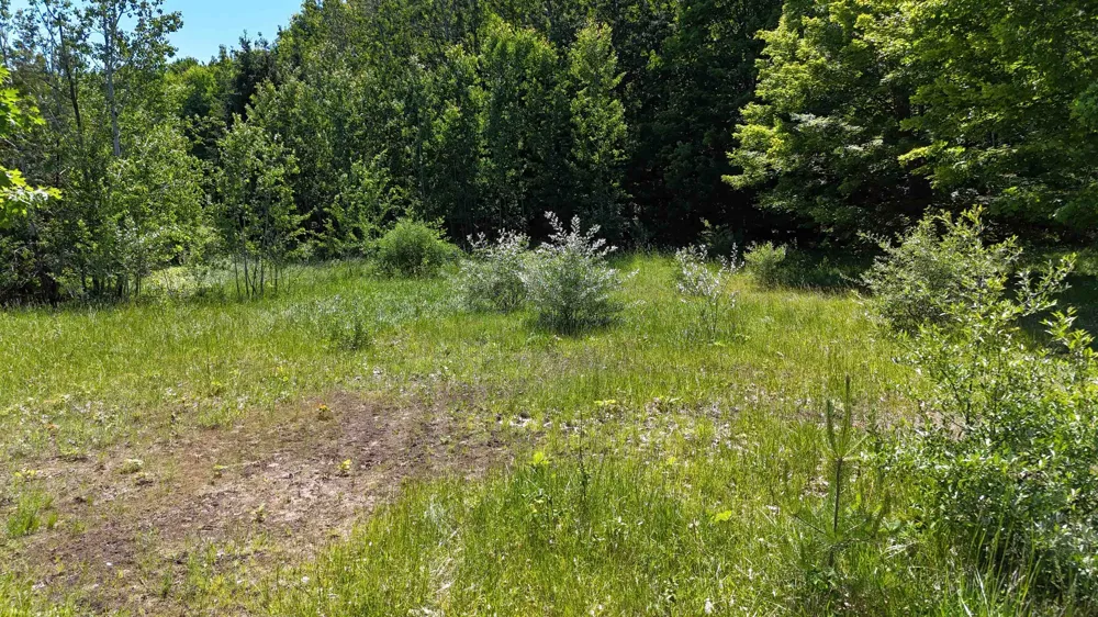 14857 Mallard Drive Peninsula Township, MI 49686