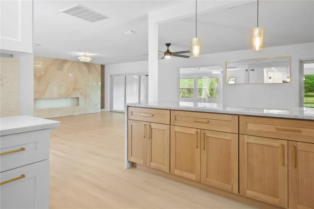 1501 DRUID ISLE ROAD Maitland, FL 32751