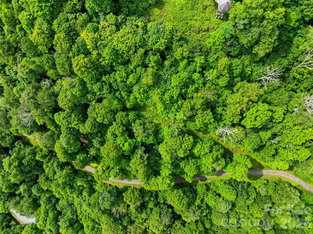 0 Mountain Gait Drive #Lots 16 & 17 Mars Hill, NC 28754