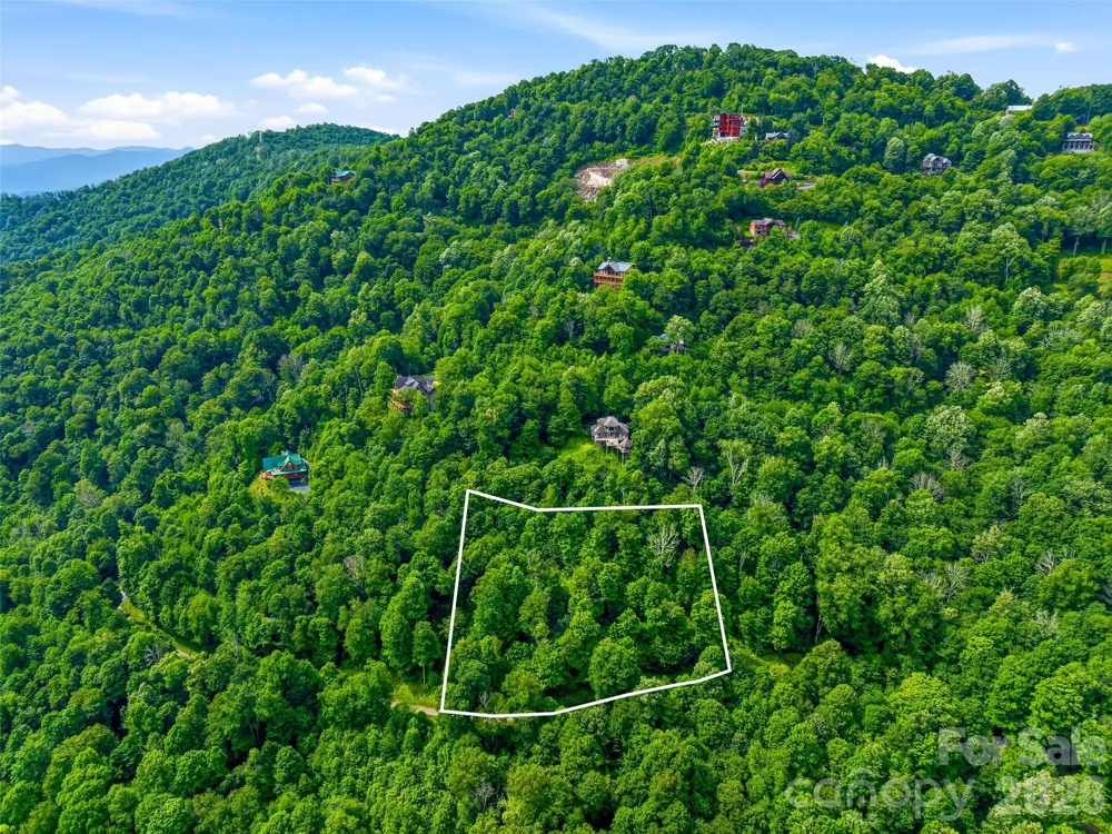 0 Mountain Gait Drive #Lots 16 & 17 Mars Hill, NC 28754