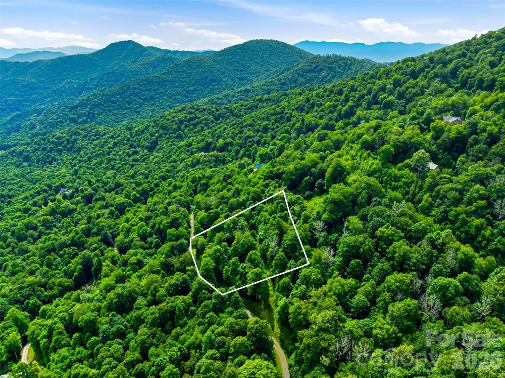 0 Mountain Gait Drive #Lots 16 & 17 Mars Hill, NC 28754