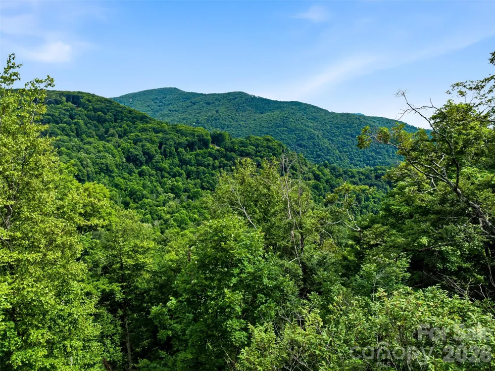 0 Mountain Gait Drive #Lots 16 & 17 Mars Hill, NC 28754