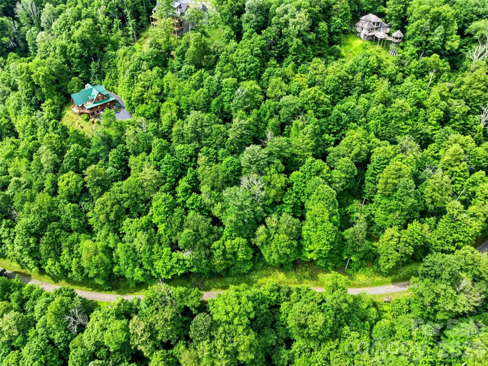 0 Mountain Gait Drive #Lots 16 & 17 Mars Hill, NC 28754