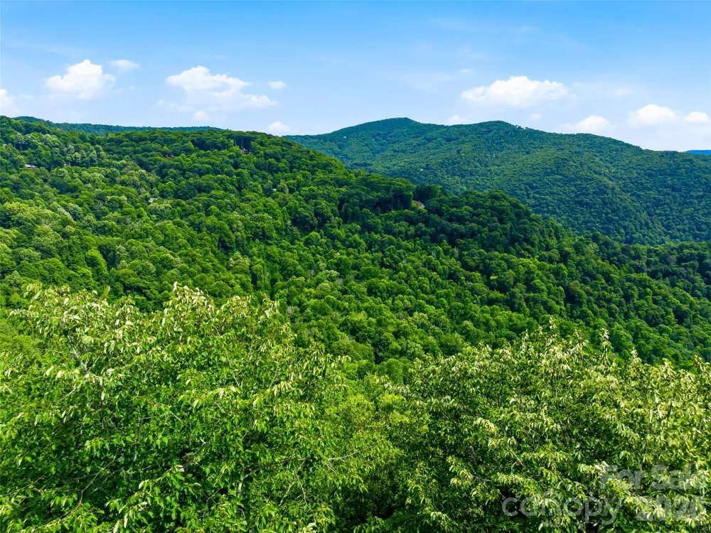 0 Mountain Gait Drive #Lots 16 & 17 Mars Hill, NC 28754