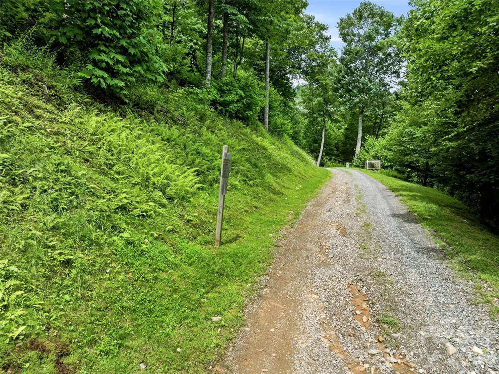 0 Mountain Gait Drive #Lots 16 & 17 Mars Hill, NC 28754