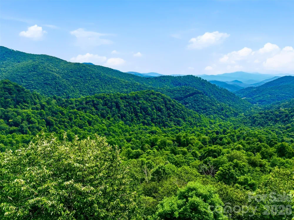 0 Mountain Gait Drive #Lots 16 & 17 Mars Hill, NC 28754