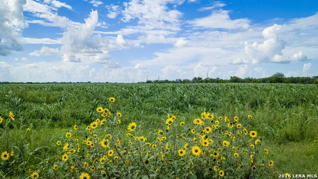 173401 Fargoer Marion, TX 78124