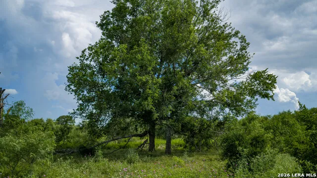 173401 Fargoer Marion, TX 78124