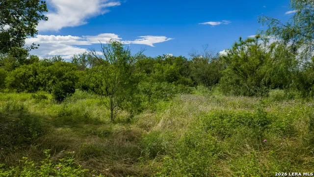 173401 Fargoer Marion, TX 78124