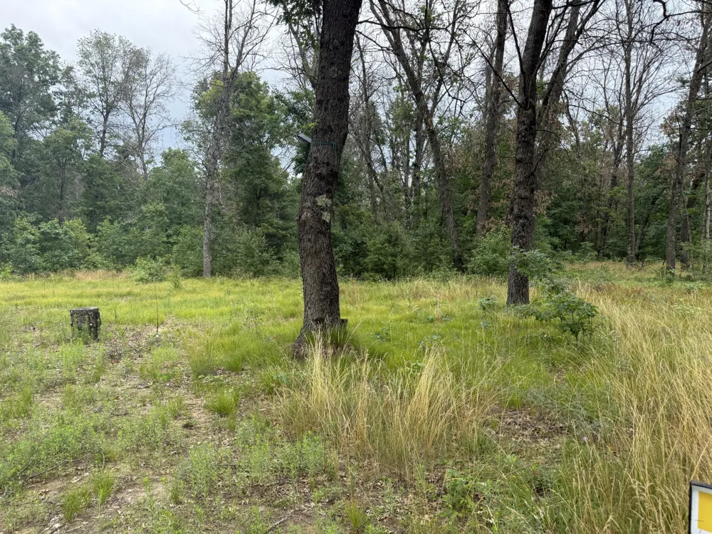 102 E Peoria Avenue Idlewild, MI 49642