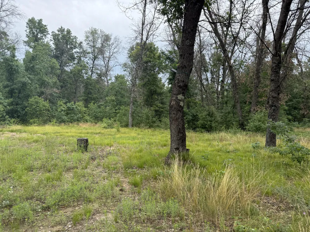 102 E Peoria Avenue Idlewild, MI 49642