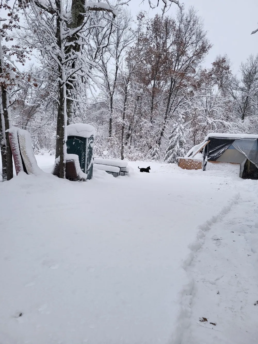 102 E Peoria Avenue Idlewild, MI 49642
