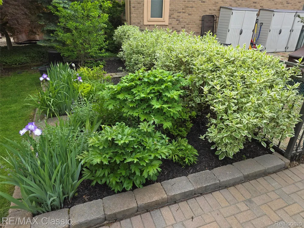 1101 Tienken Court #206 Rochester Hills City, MI 48306