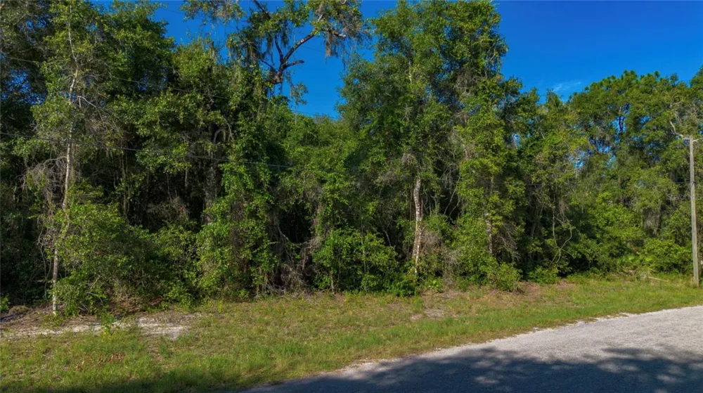 4374 E MATE LANE Hernando, FL 34442