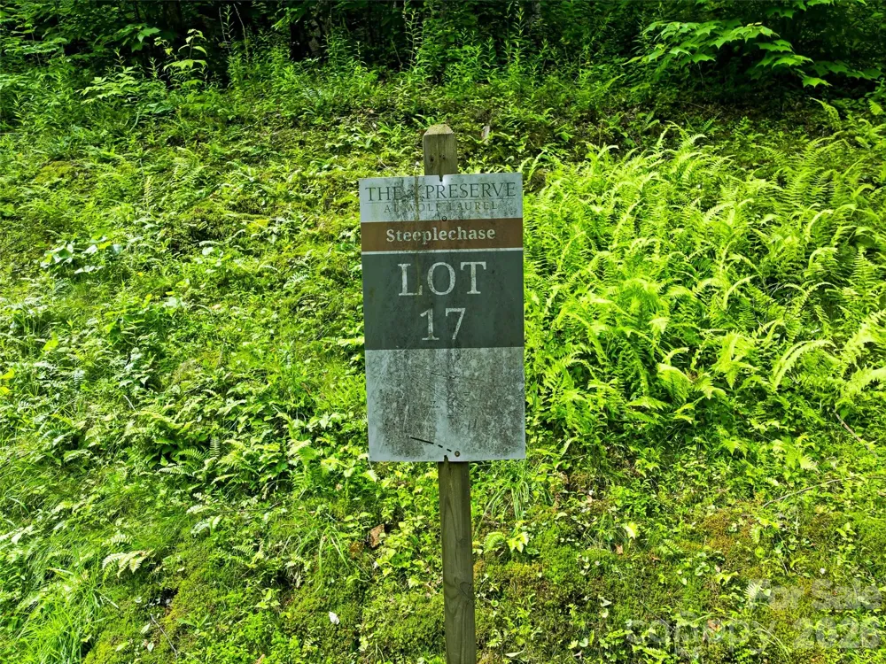 17 Mountain Gait Drive #17 Mars Hill, NC 28754