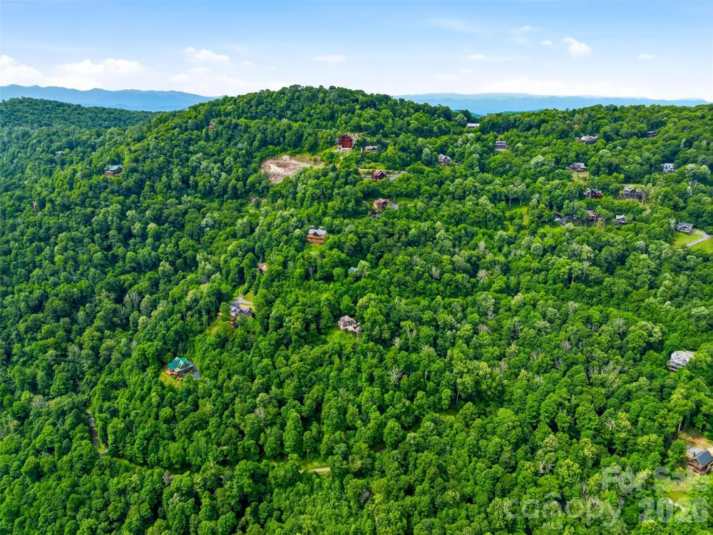 17 Mountain Gait Drive #17 Mars Hill, NC 28754