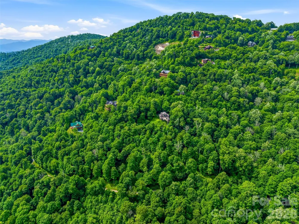 16 Mountain Gait Drive #16 Mars Hill, NC 28754