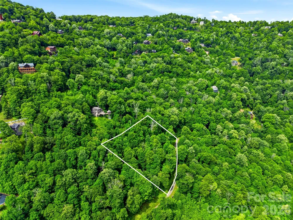 16 Mountain Gait Drive #16 Mars Hill, NC 28754