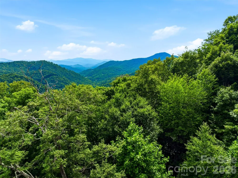 16 Mountain Gait Drive #16 Mars Hill, NC 28754