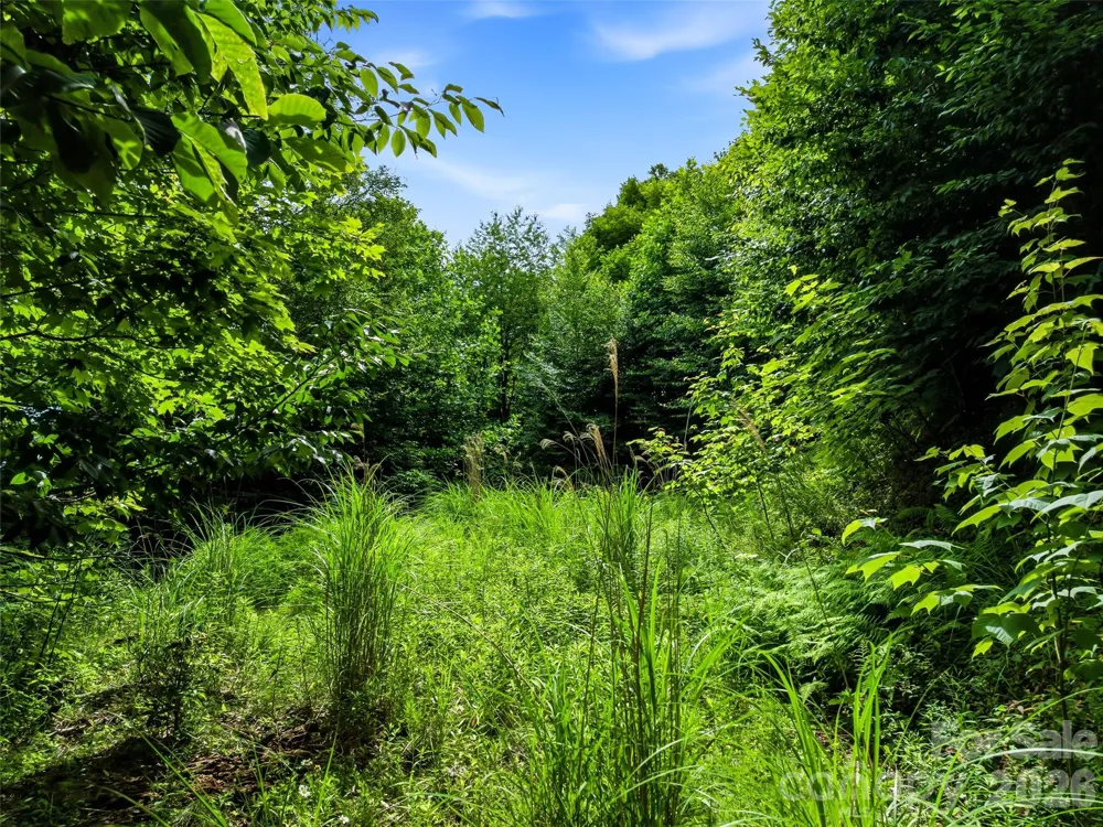16 Mountain Gait Drive #16 Mars Hill, NC 28754