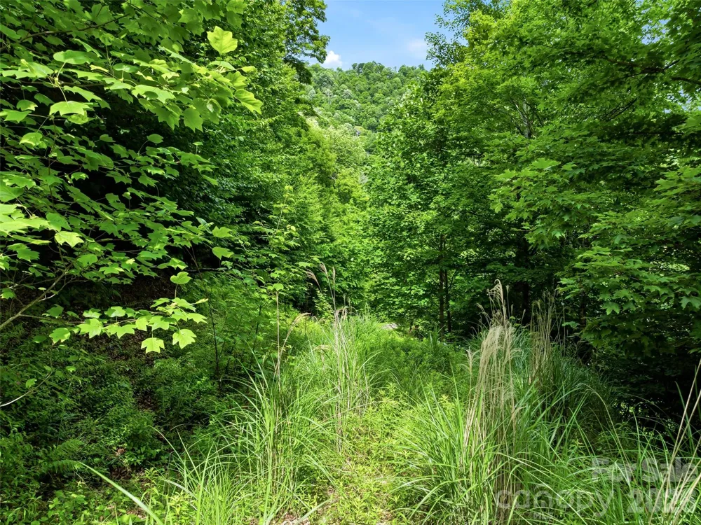 16 Mountain Gait Drive #16 Mars Hill, NC 28754