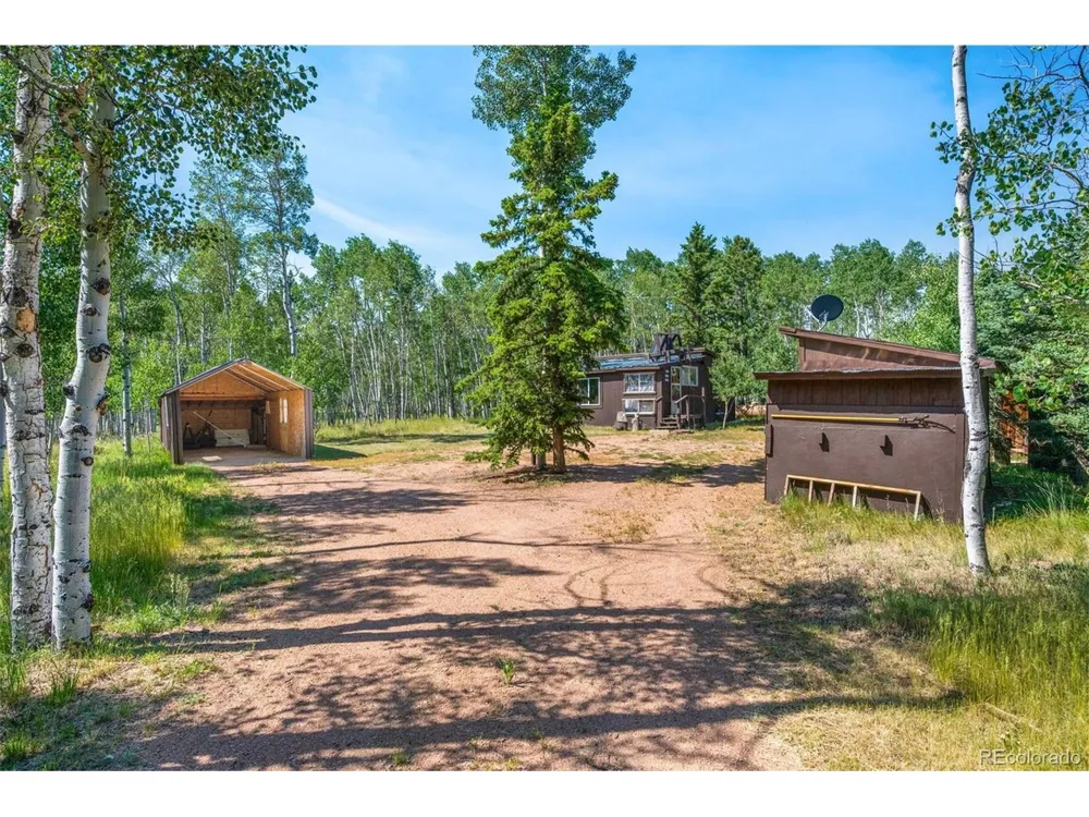 106 Forest Court Florissant, CO 80816