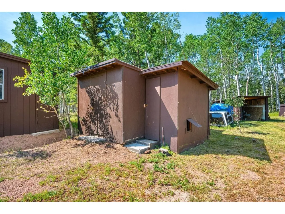 106 Forest Court Florissant, CO 80816