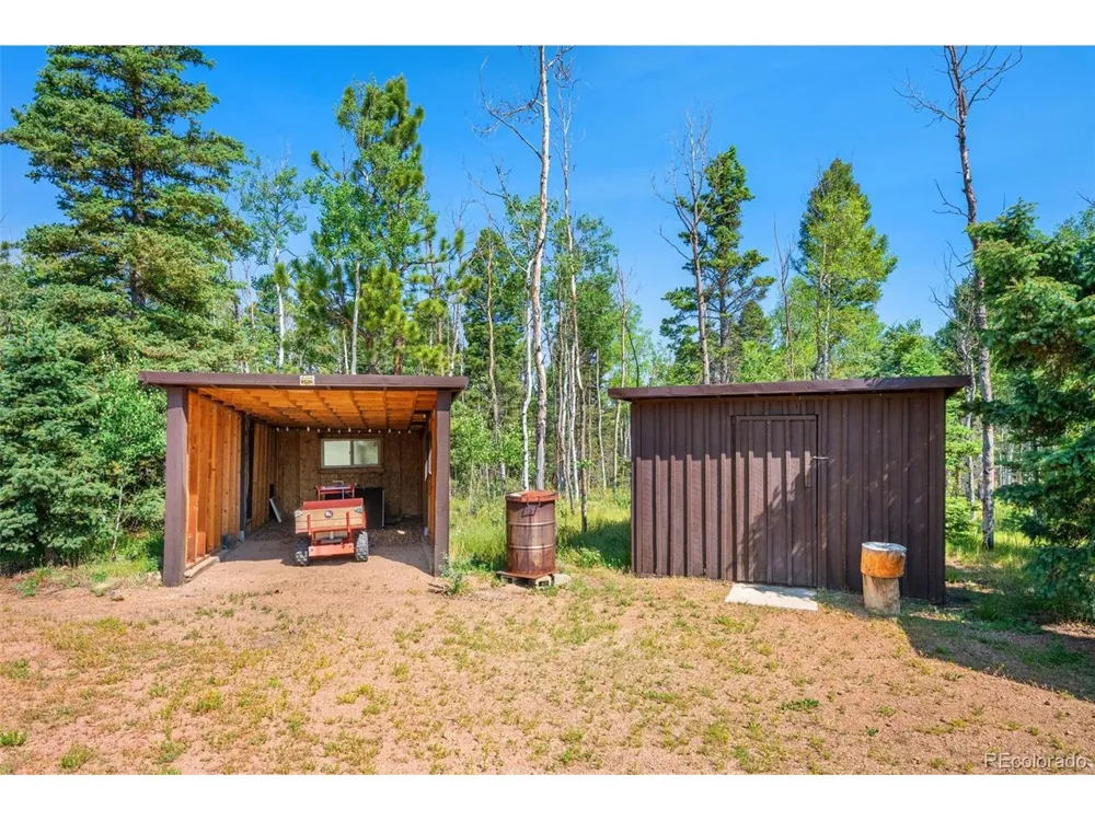 106 Forest Court Florissant, CO 80816